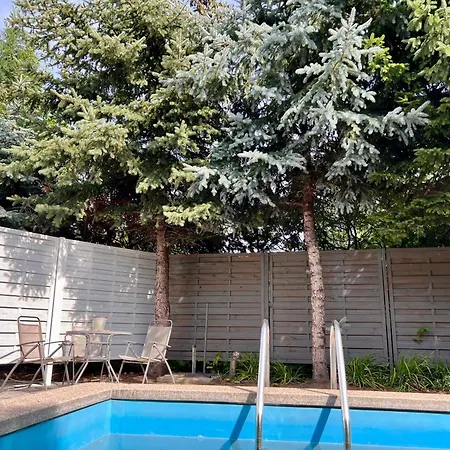 Villa Blue House Lubon- Doskonala Komunikacja Z A2 I Poznaniem Luboń